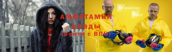 гашик Ладушкин