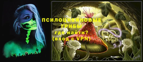 мет Лагань