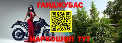 прущие крисы Аргун