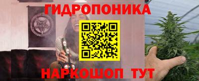 прущие крисы Аргун