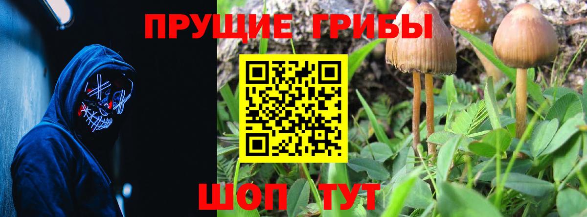 Галлюциногенные грибы мицелий  Галлюциногенные грибы Psilocybe  Южноуральск  Вход с VPN 